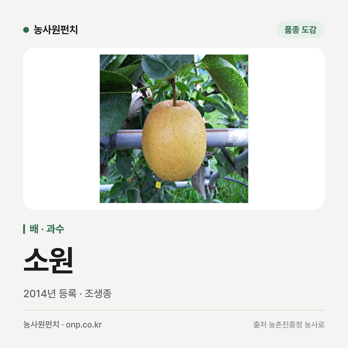 소원