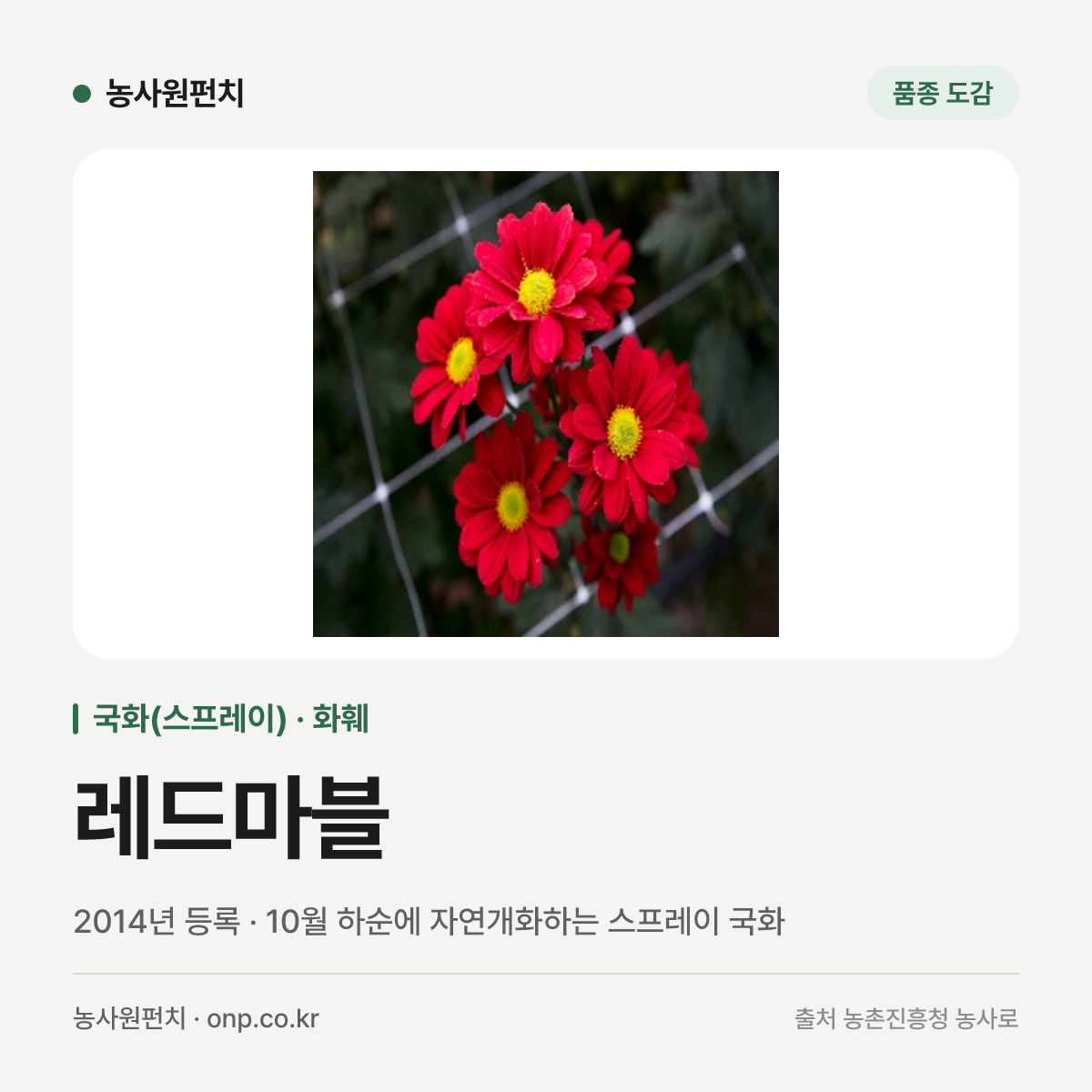 레드마블