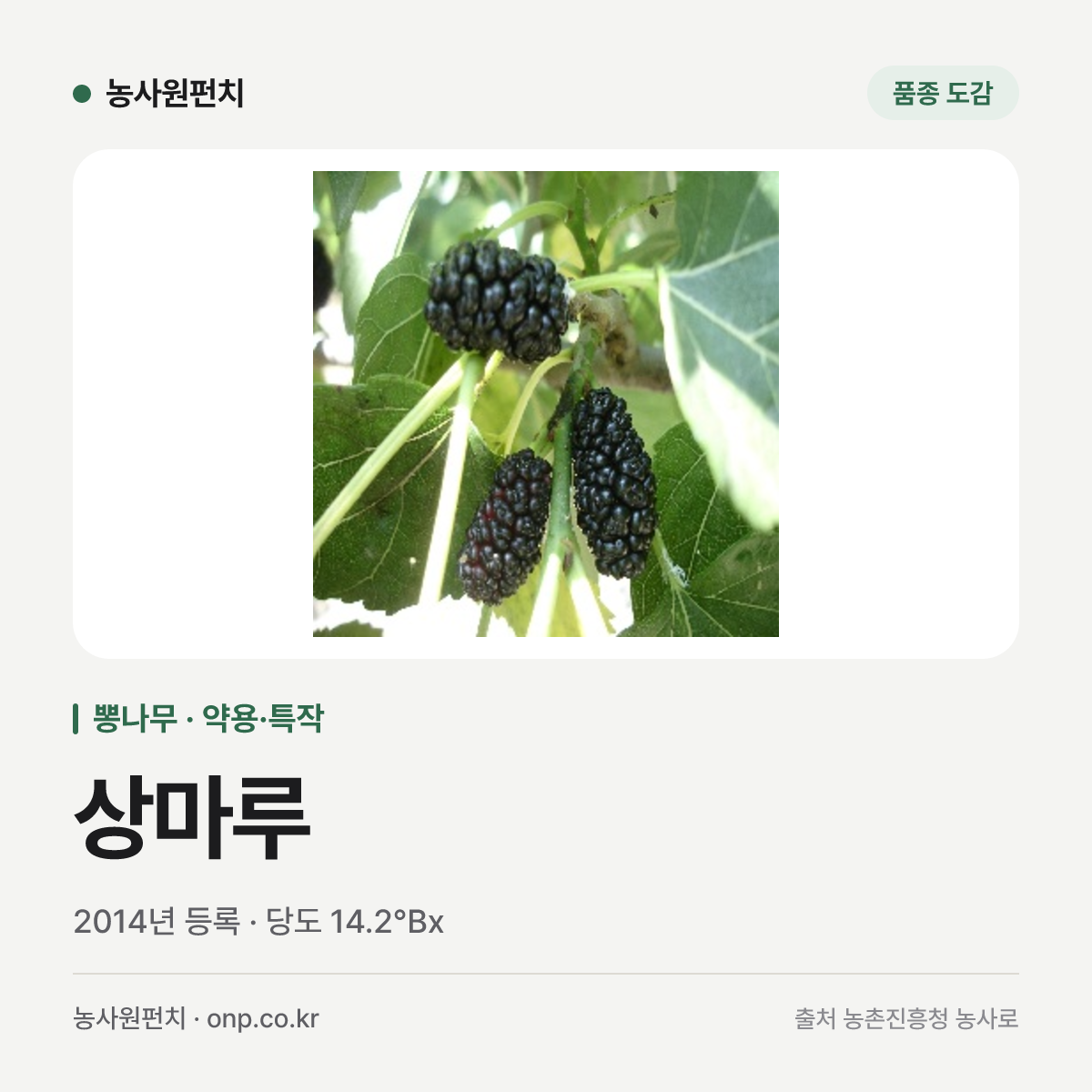 상마루