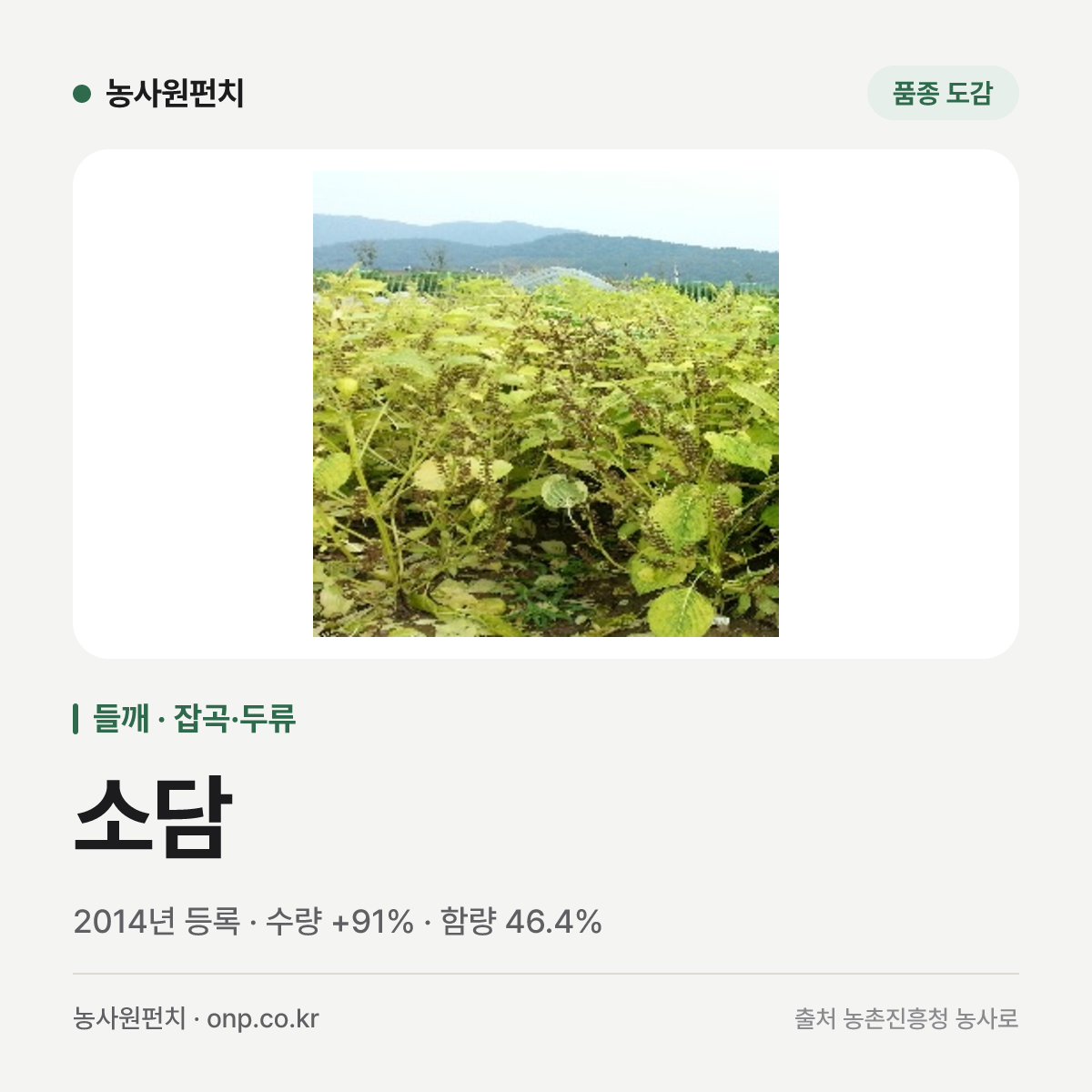 소담