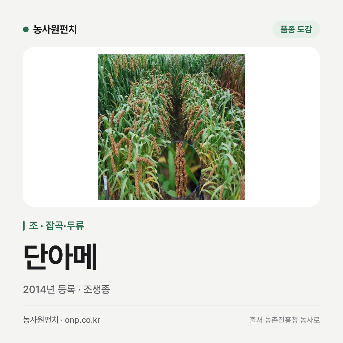 단아메