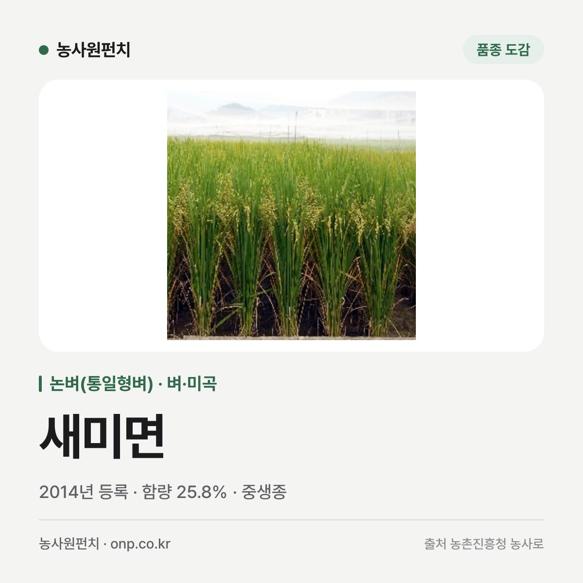 새미면