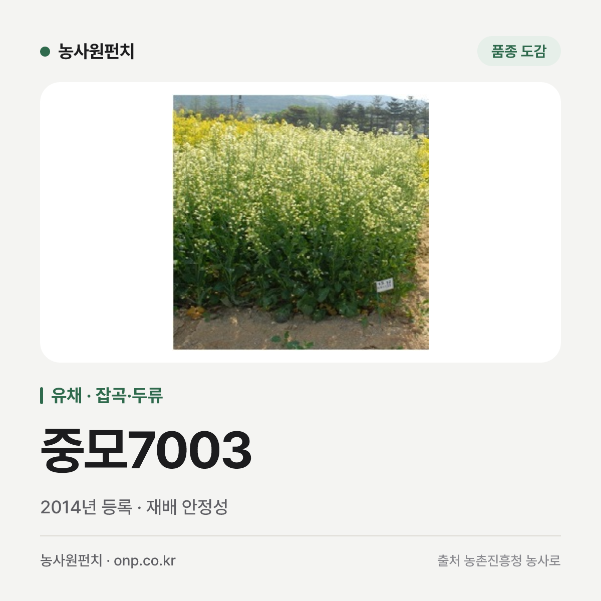 중모7003