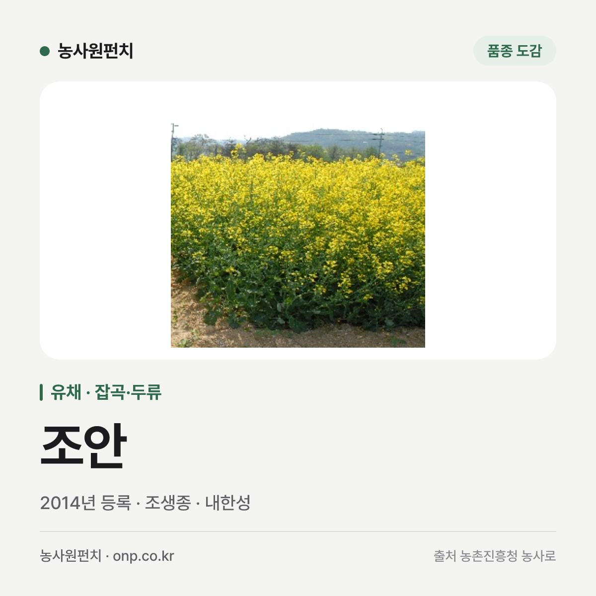 조안
