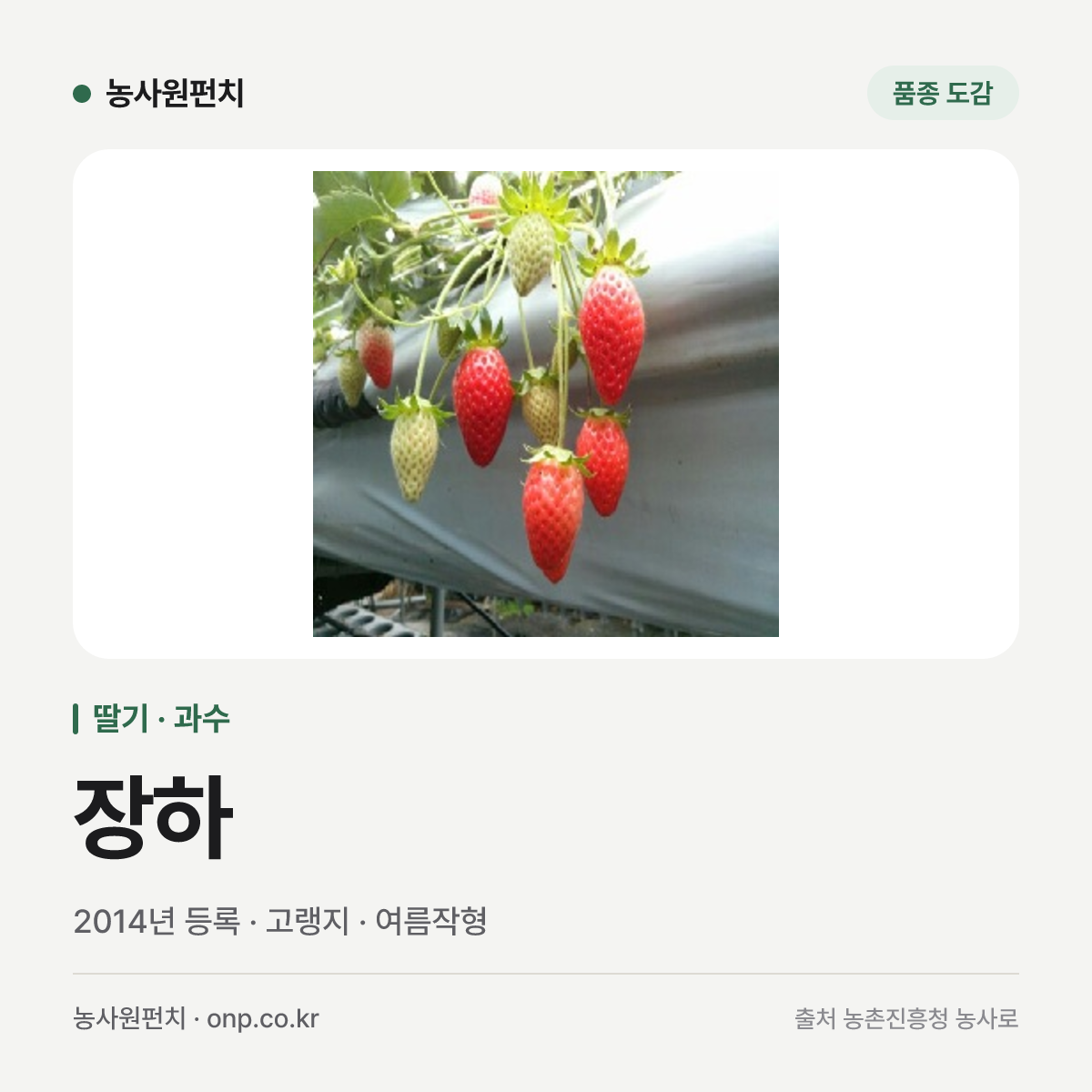 장하