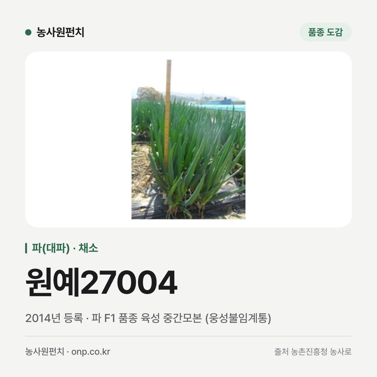 원예27004