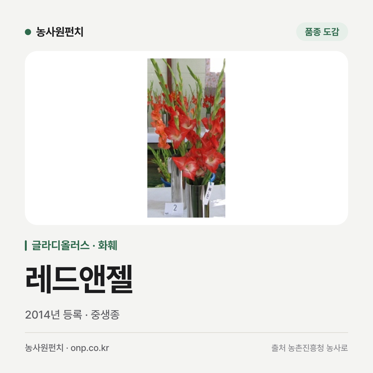 레드앤젤