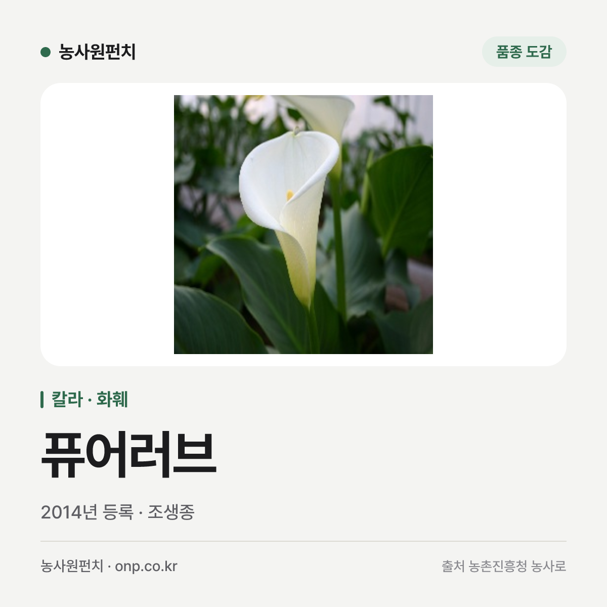 퓨어러브