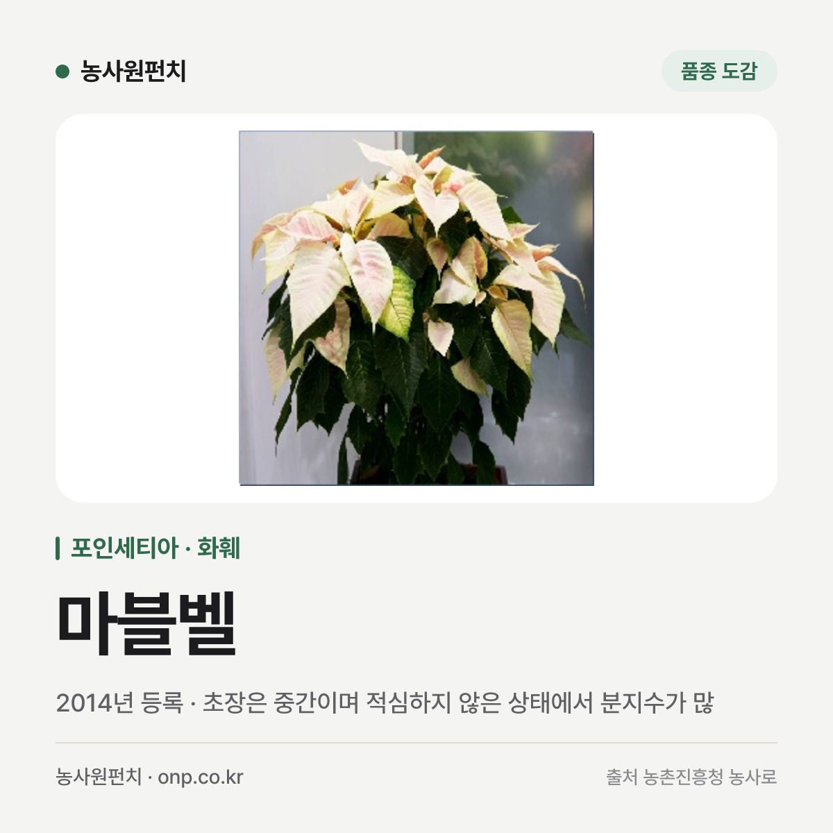 마블벨