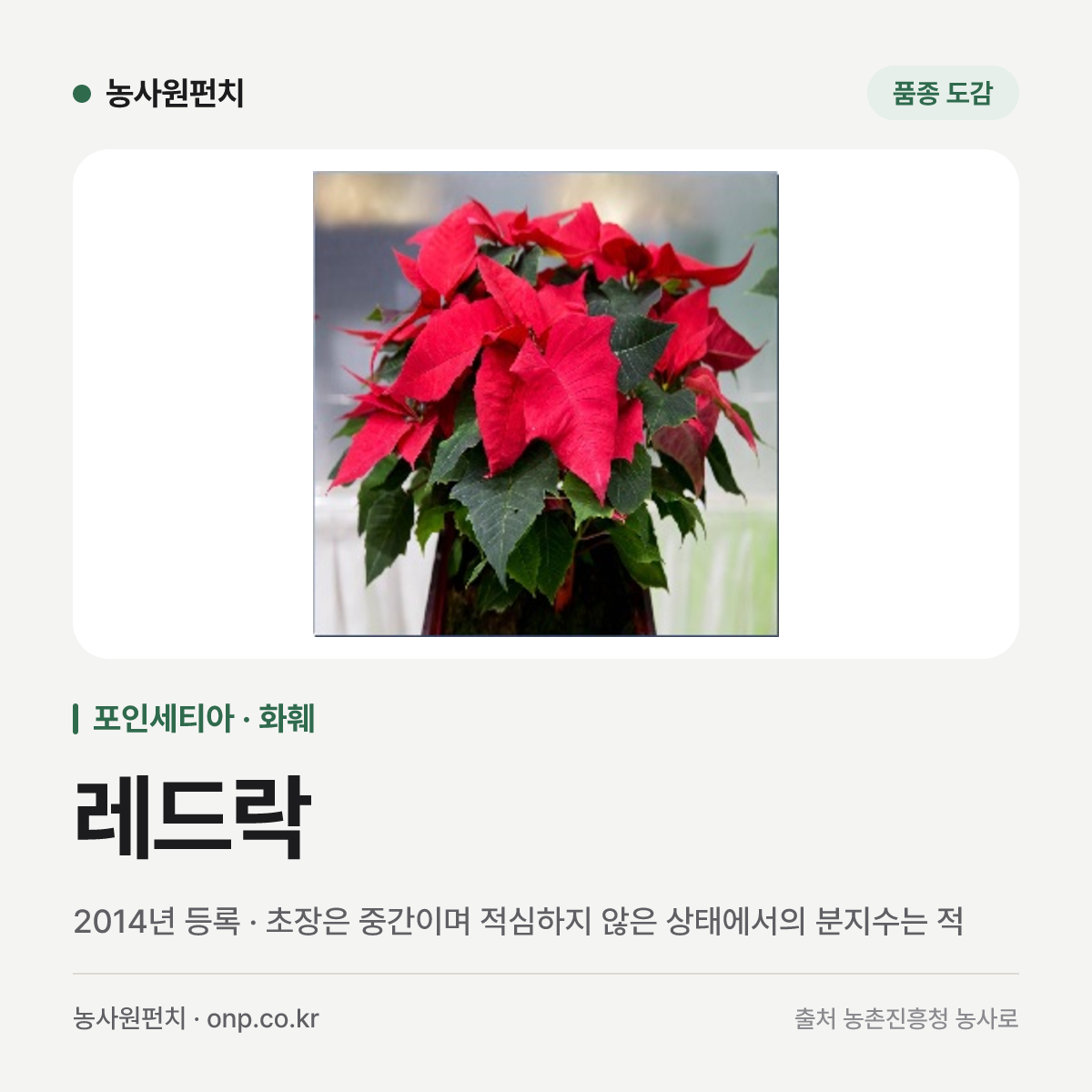 레드락