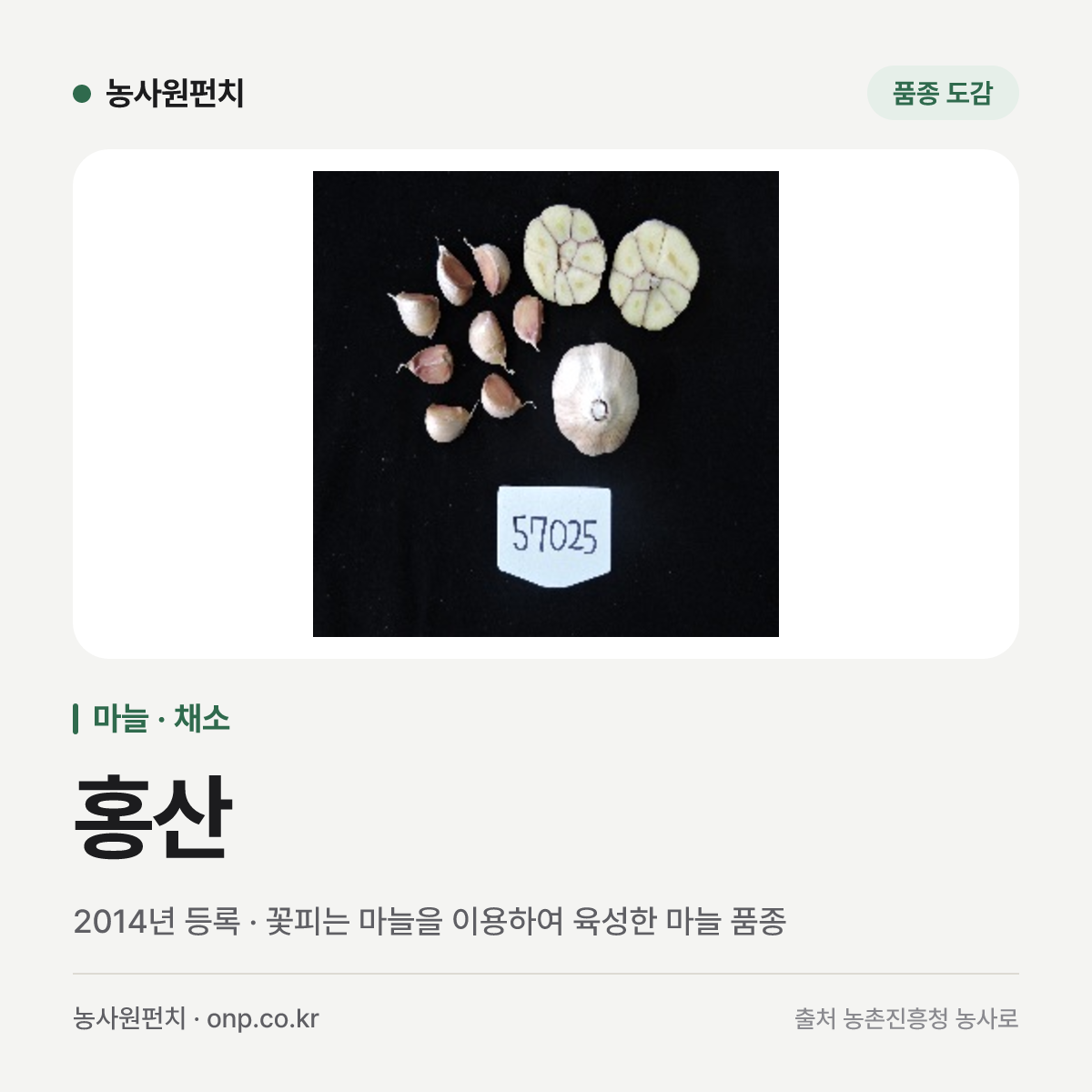 홍산