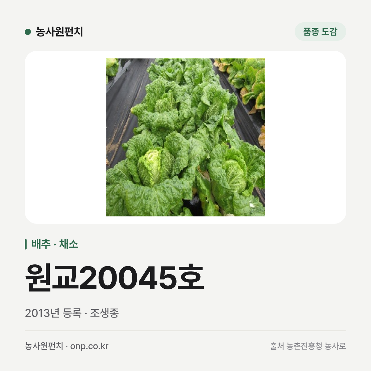 원교20045호