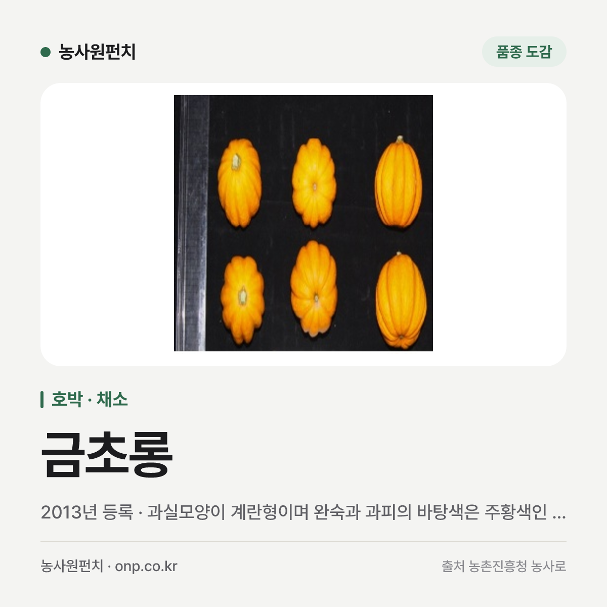 금초롱
