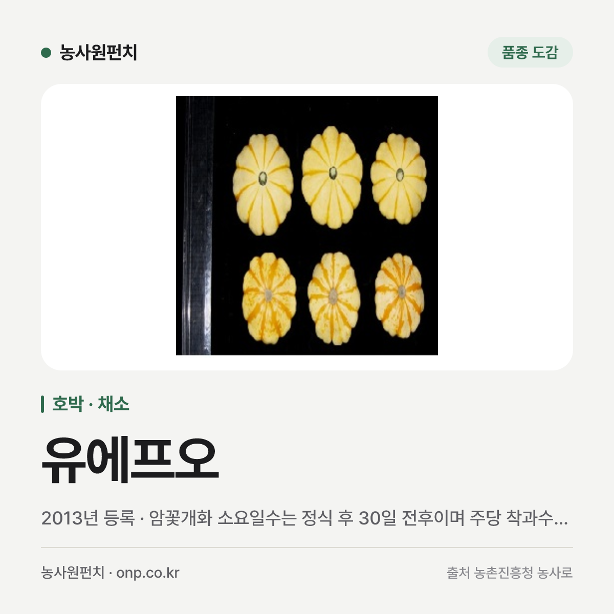 유에프오