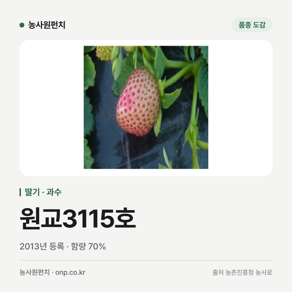 원교3115호