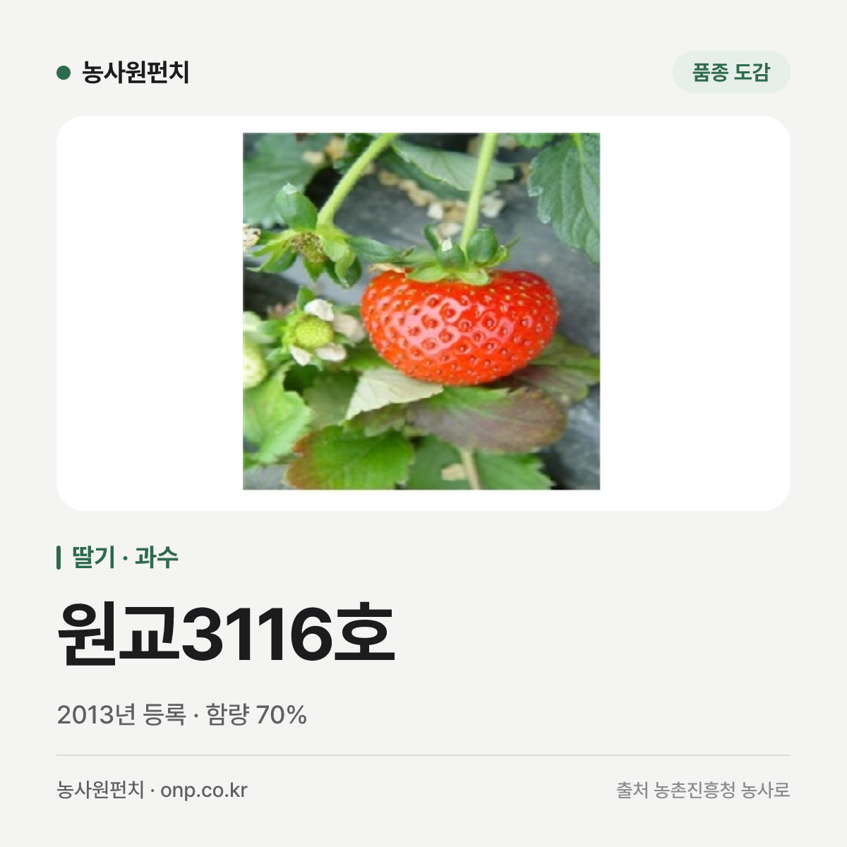원교3116호