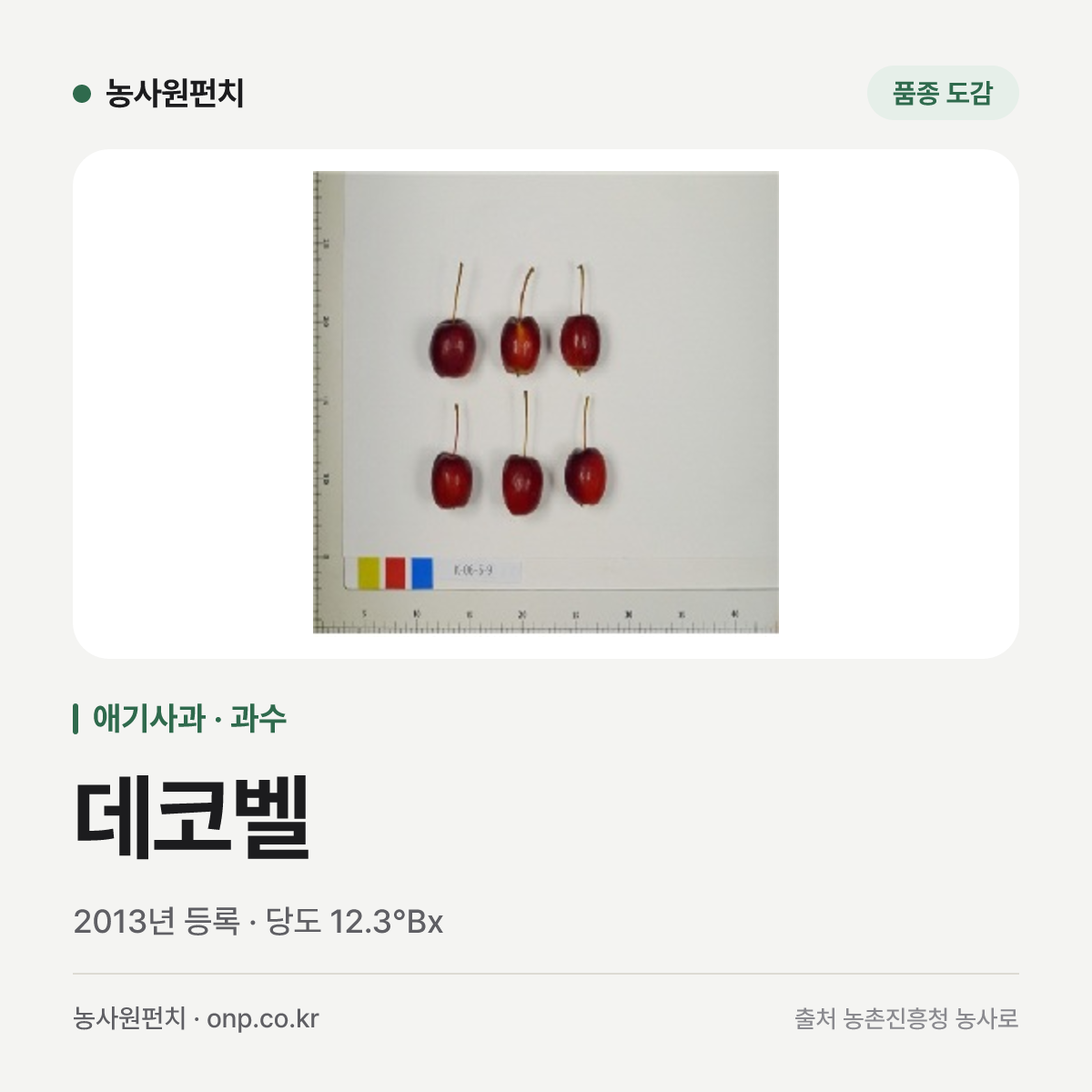 데코벨