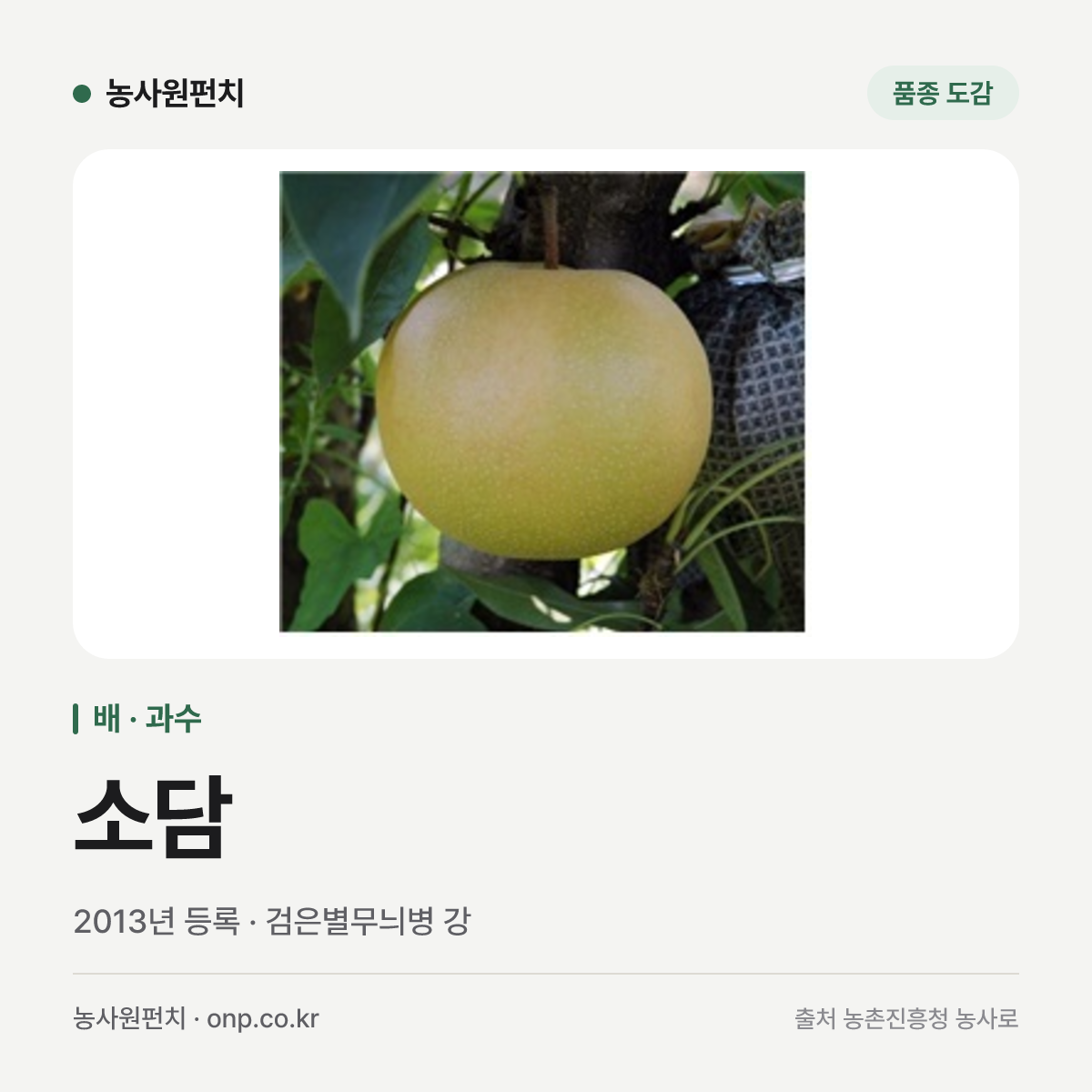 소담