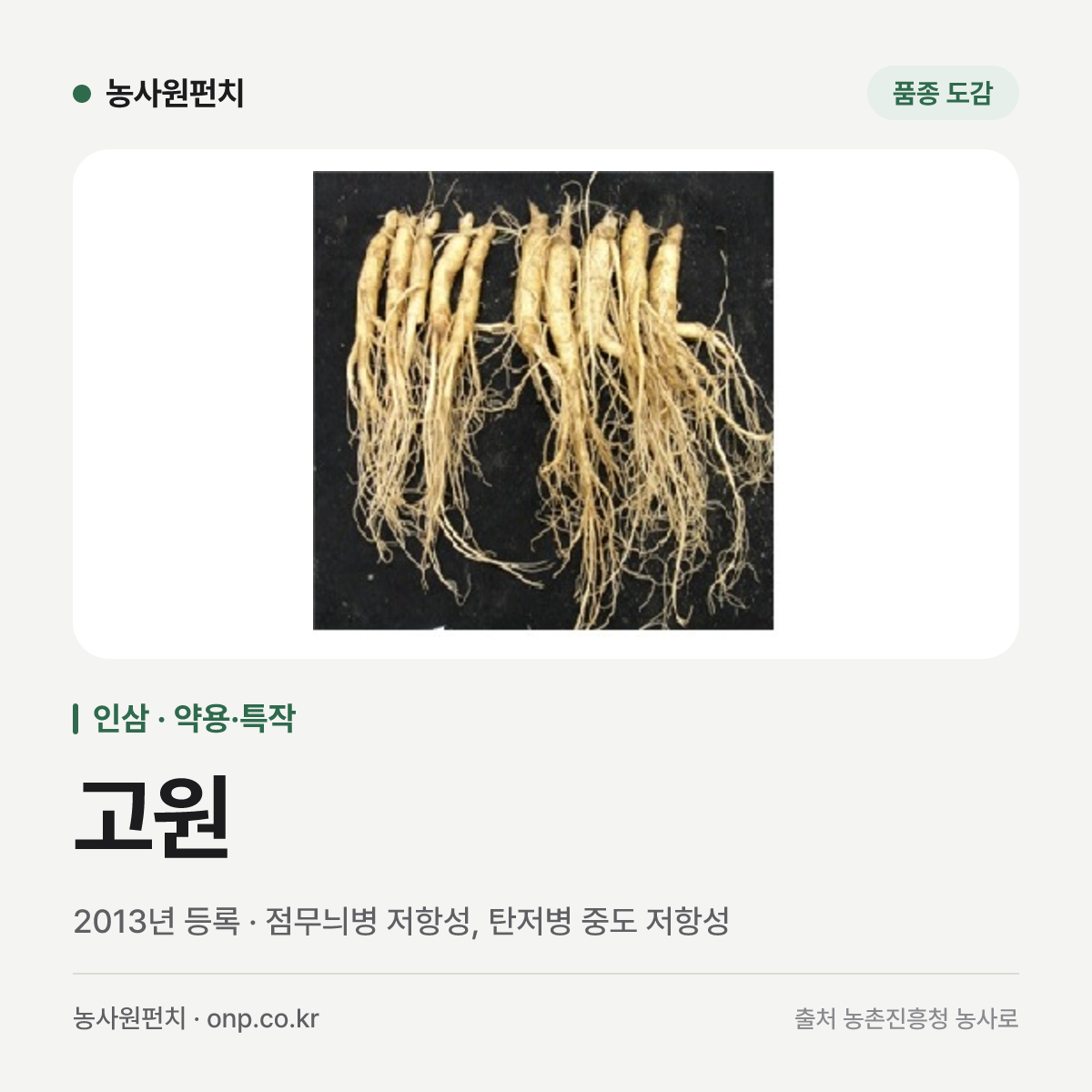 고원