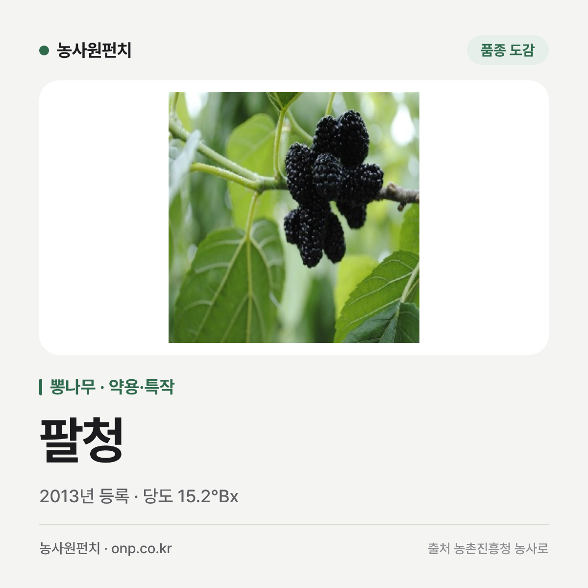 팔청