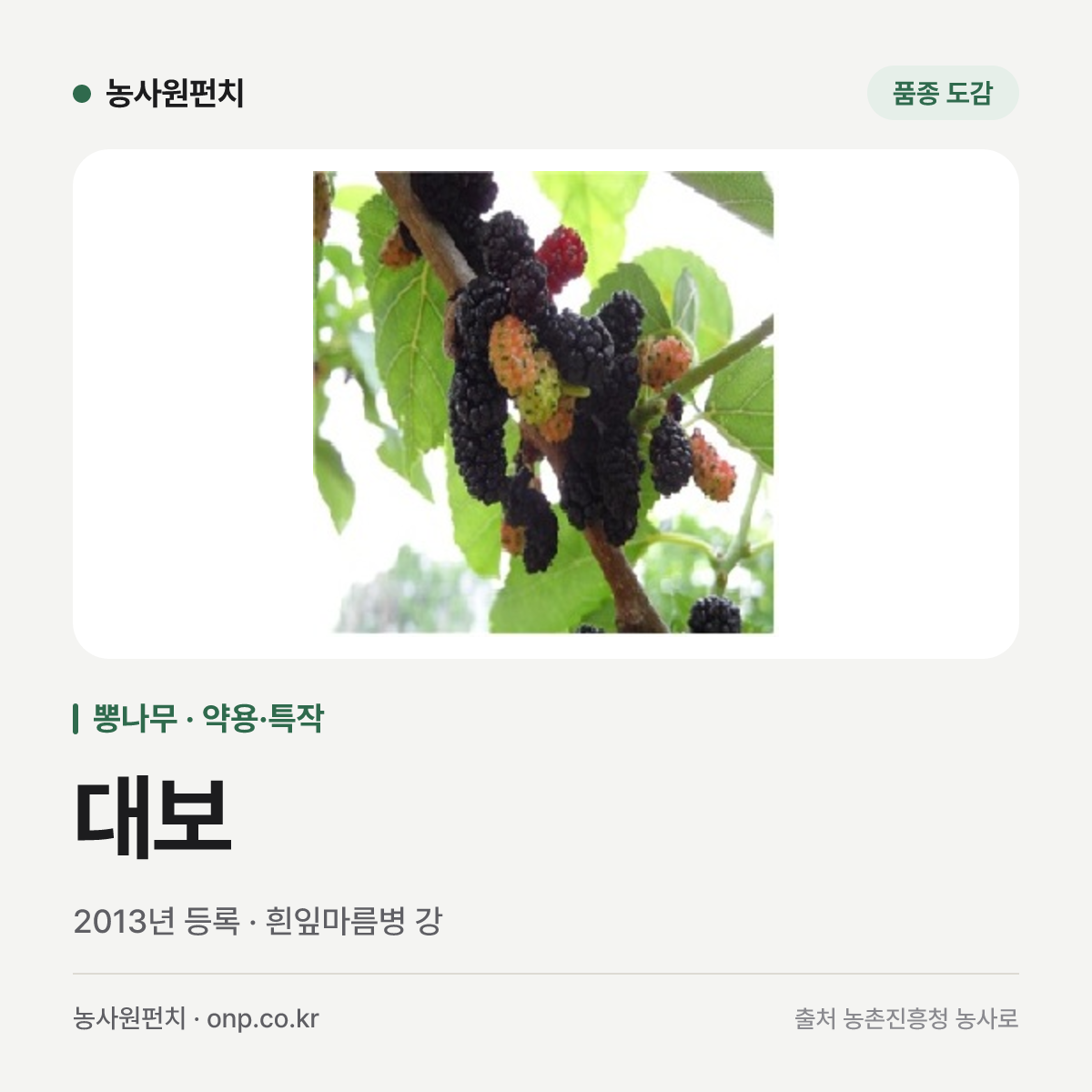 대보