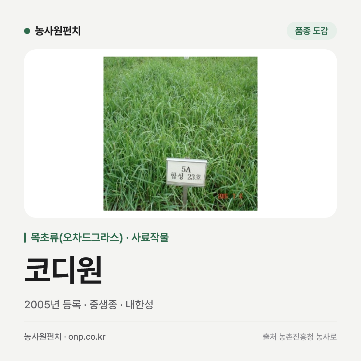 코디원