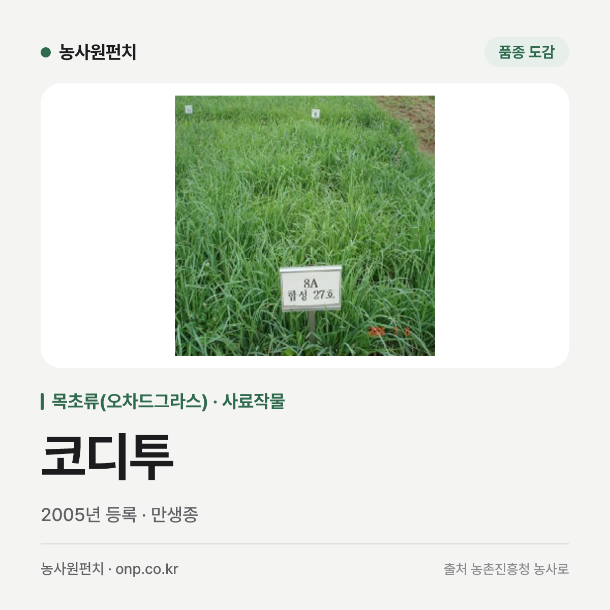 코디투