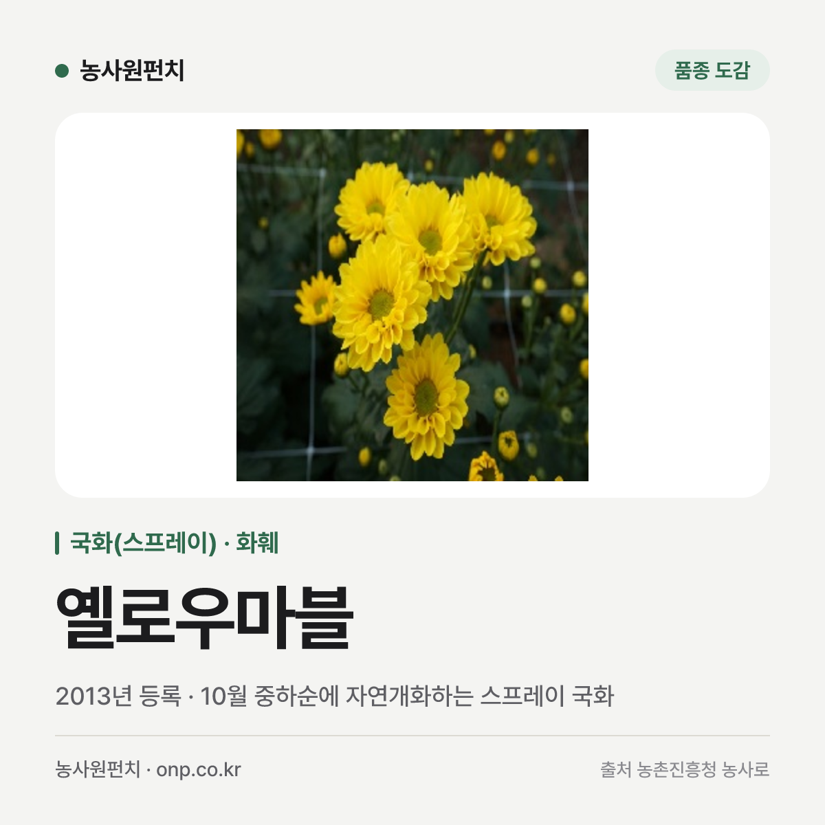 옐로우마블