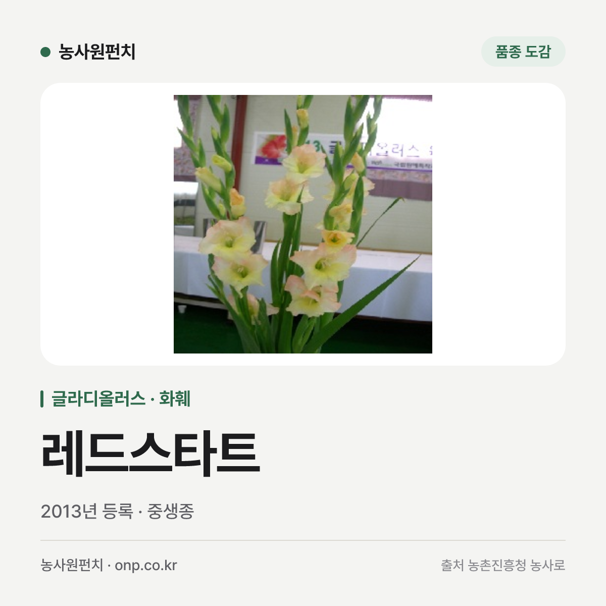 레드스타트