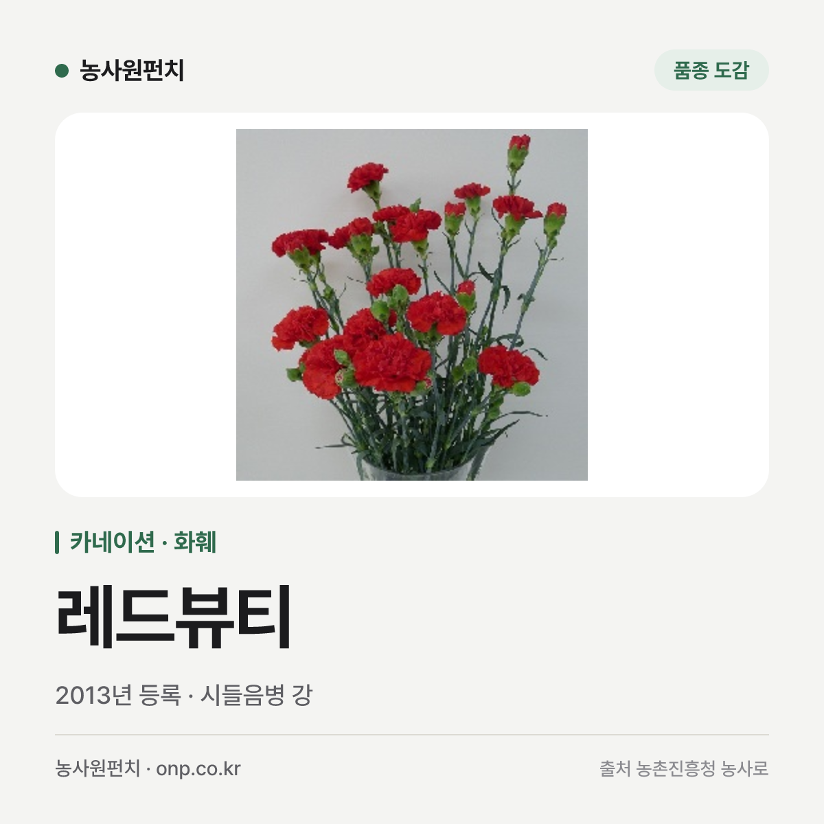 레드뷰티