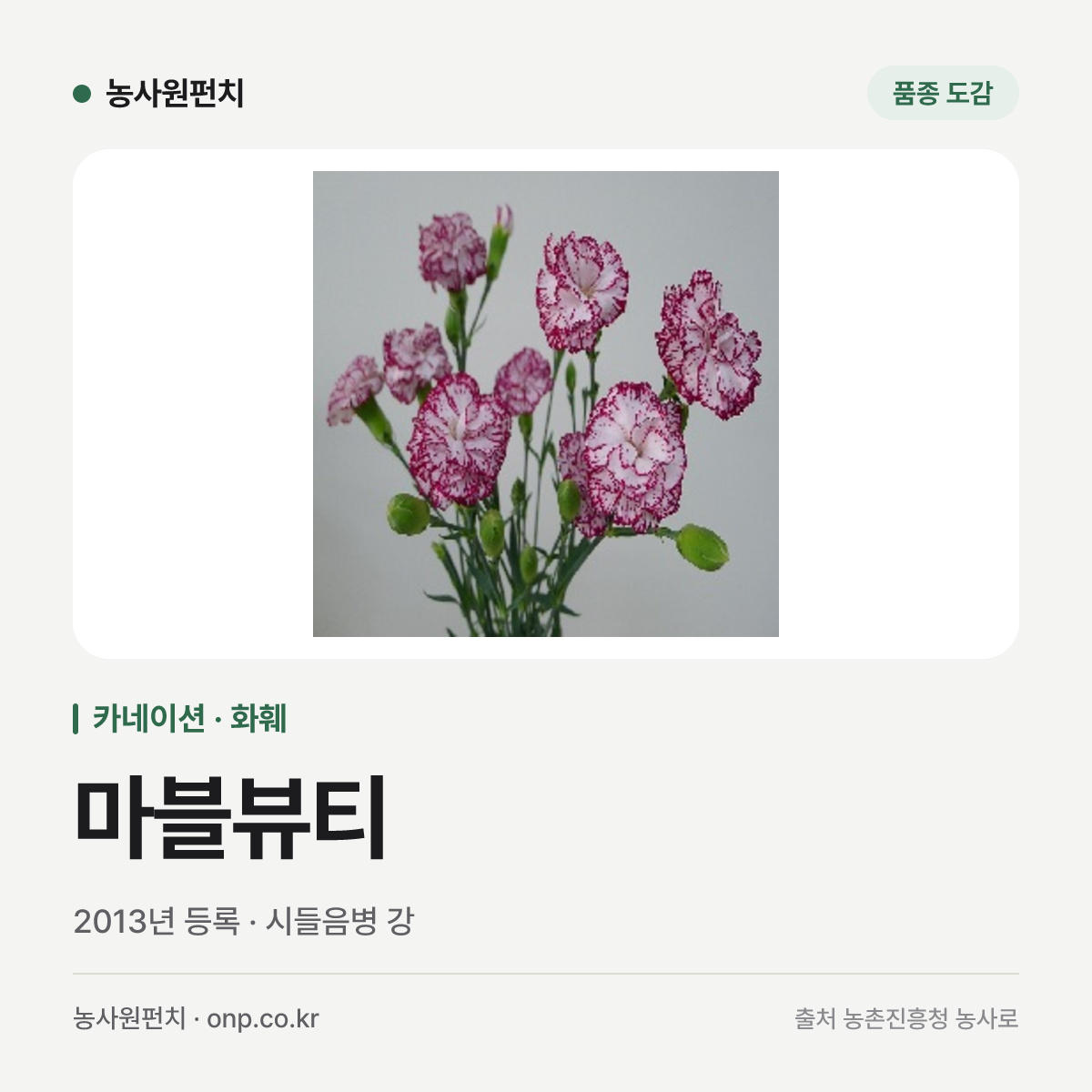 마블뷰티