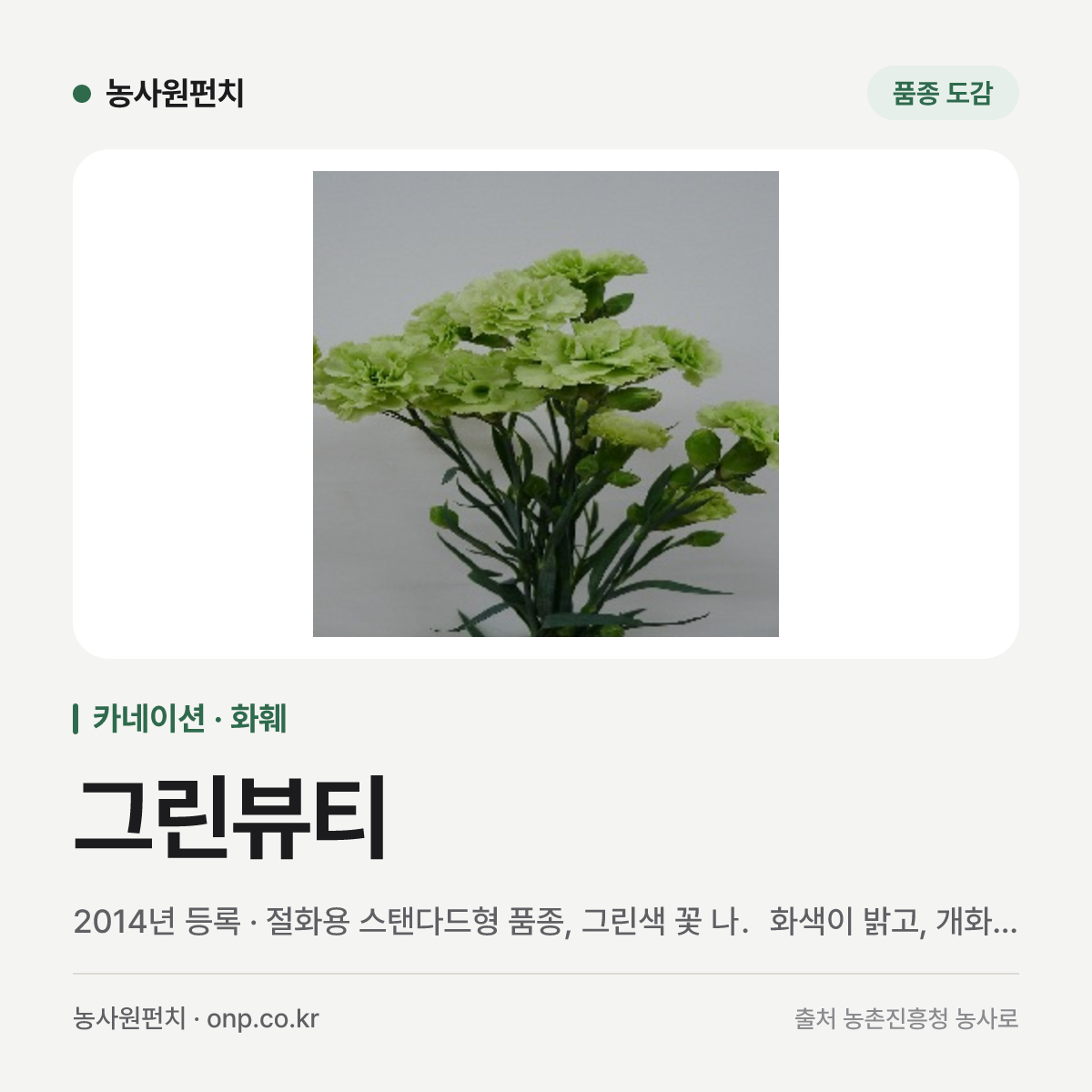 그린뷰티