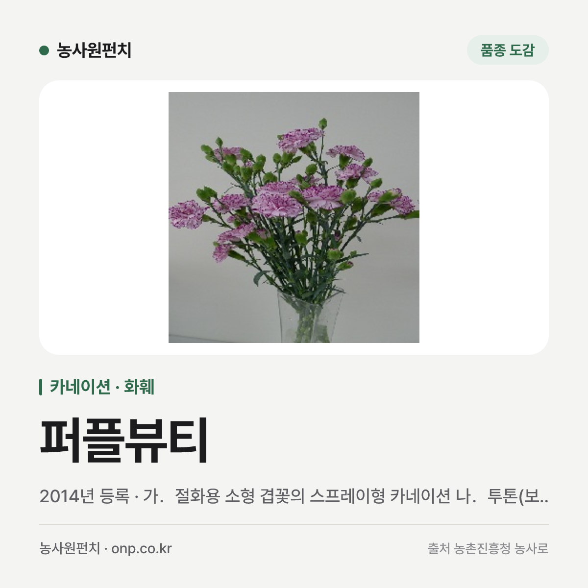 퍼플뷰티