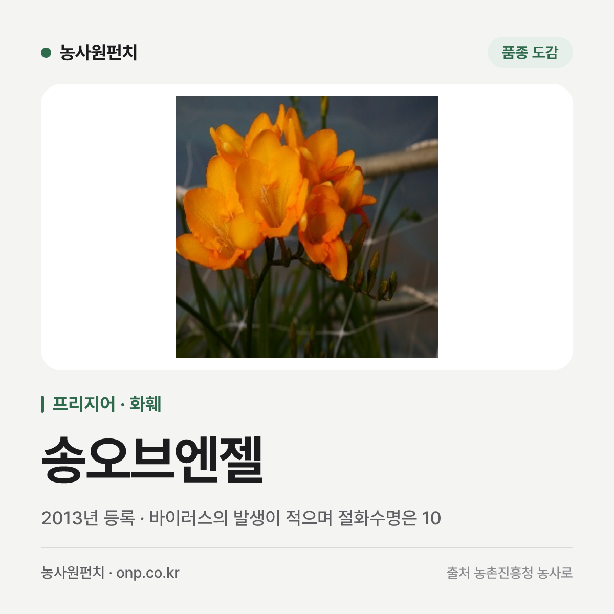 송오브엔젤